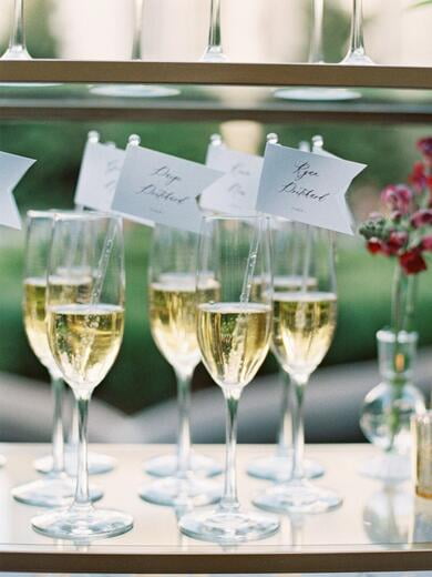 Champagne Wedding Escort Cards in Pennant Shape on Acrylic Stir Sticks