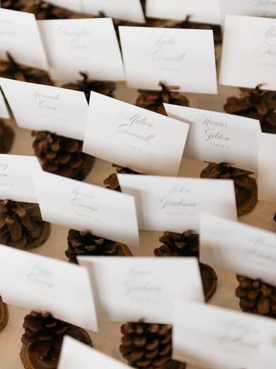 Escort Cards in Pine Cone Holders