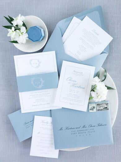 Pale Blue Letterpress Wedding Invitation on Double Thick Paper with Delicate Greenery Monogram